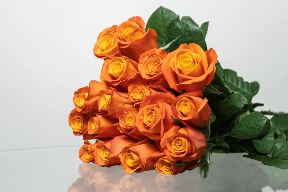 Confidential roses grown by Kikwetu